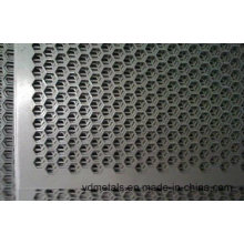 High Quality Perforated Sheet Metal (Yd-Pm-01)